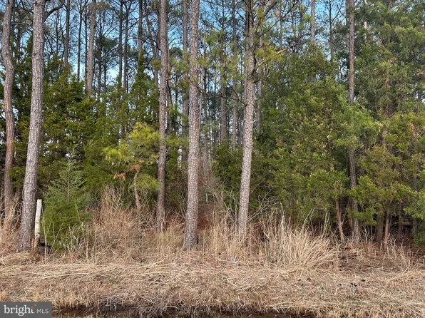Cassons Neck Seabreeze Ct, Cambridge, MD 21613