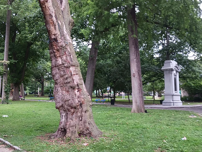5700-04 Germantown Ave — Photo 19