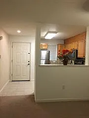 218 Morning Star Dr — Photo 11