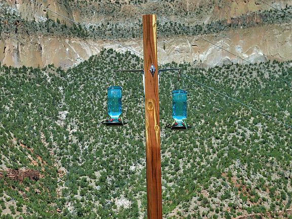 4th image of 1201 Madrid Rd