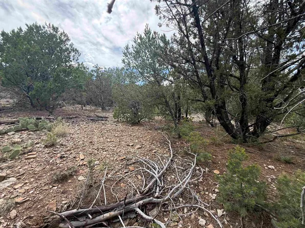 70 Mogollon Trl, High Rolls Mountain Park, NM 88325