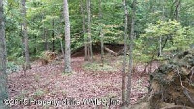 2nd image of 11 Acres Rockahock Rd