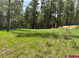 203 Snowbird Ct, Bayfield, CO 81122