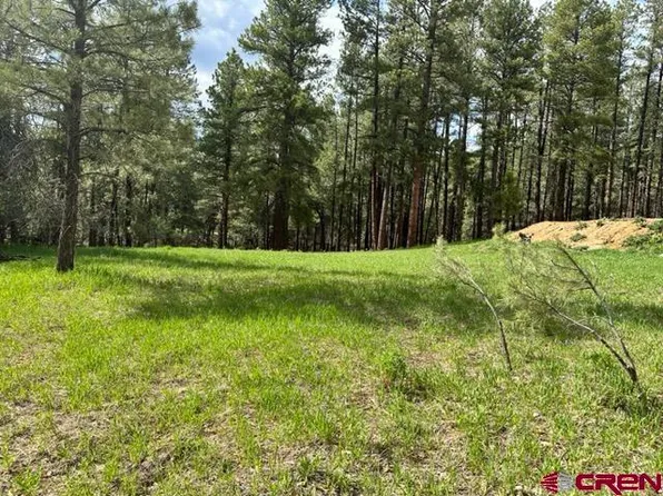 203 Snowbird Court, Bayfield, CO 81122