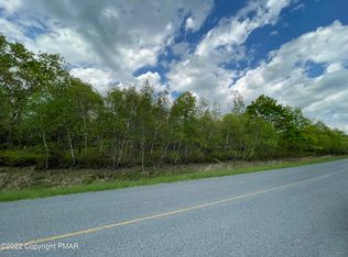 55A Patten Cir, Albrightsville, PA 18210
