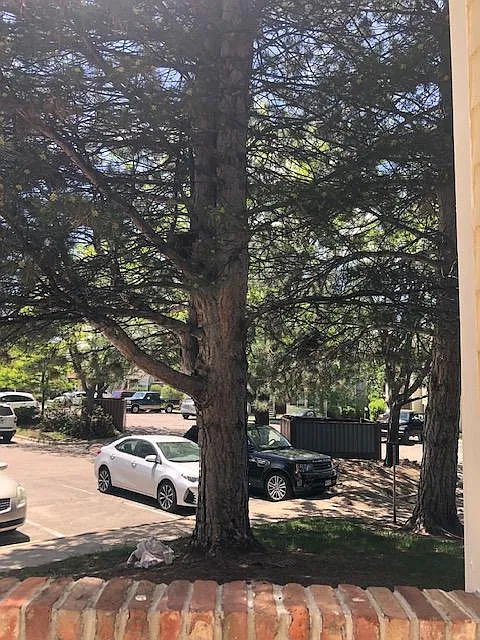 View from Side Patio