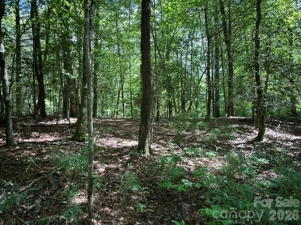 Blossom Rd, Brevard, NC 28712