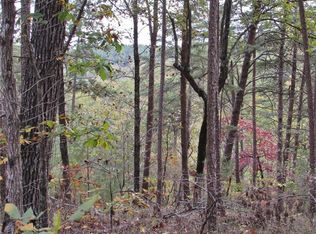 1336 Birch Ln, Ranger, GA 30734