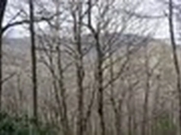 TBD High Gate Road, Highlands, NC 28741