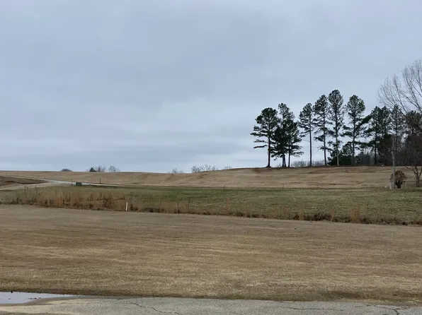 0 Rest Ln Lot 221/22, Decaturville, TN 38329