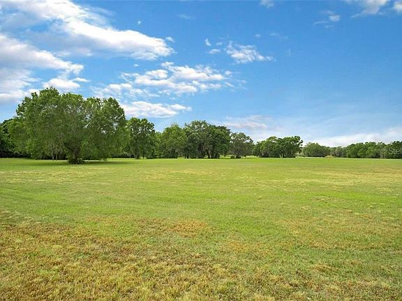 5th image of 11423 Hammock Oaks Ct