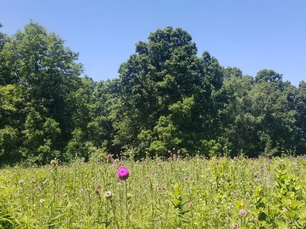 860 Greystone Dr, Chelsea, MI 48118