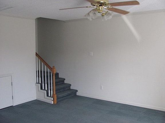 4th image of 124 Mall Cir APT A