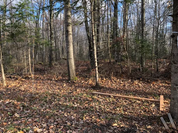 LOT 42 Alpine Dr, Upson, WI 54565