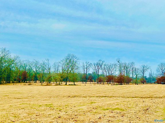 2nd image of 3225 County Road 209