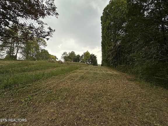 2nd image of 0 County Road 331