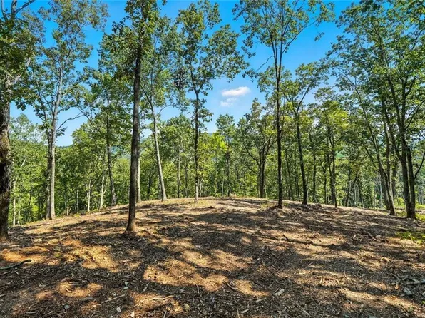 0 Debord Dr, Waleska, GA 30183