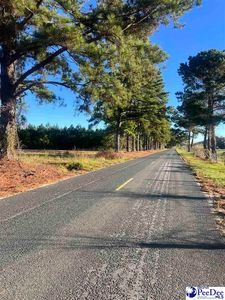 Southern Aire Rd #1, Timmonsville, SC, 29161