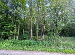 Haines Rd, Orwell, OH 44076