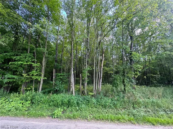 Haines Rd, Orwell, OH 44076