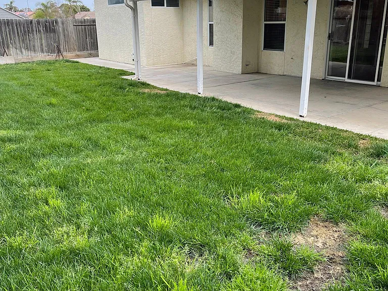 Grass backyard with covered porch area.