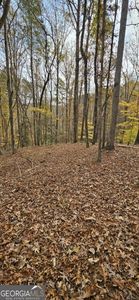 0 N Falling Waters Dr Lot 32B, Demorest, GA, 30535