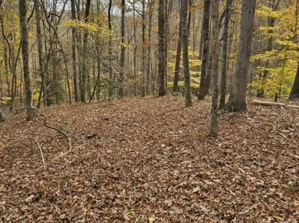 0 N Falling Waters Dr Lot 32B, Demorest, GA 30535