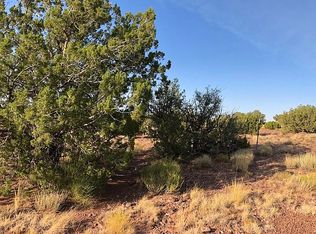 3869 Apache Rd, Snowflake, AZ 85937