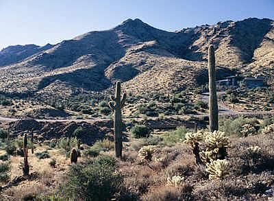 1st image of 11917 E CALLE DE VALLE Drive #26