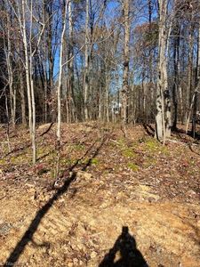 0 Unicorn Rd, Reidsville, NC, 27320