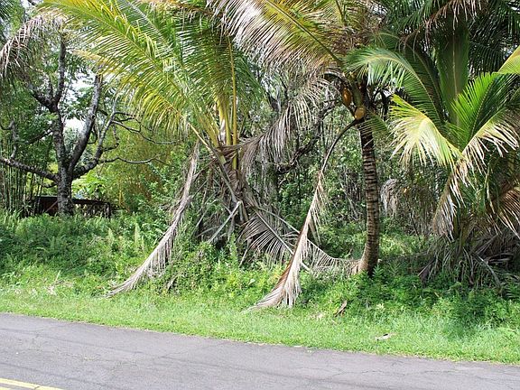 4th image of E Pohakupele Loop