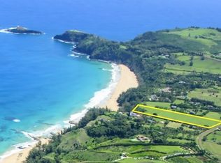 2820 E Kauapea Rd LOT 11-A-6, Kilauea, HI 96754