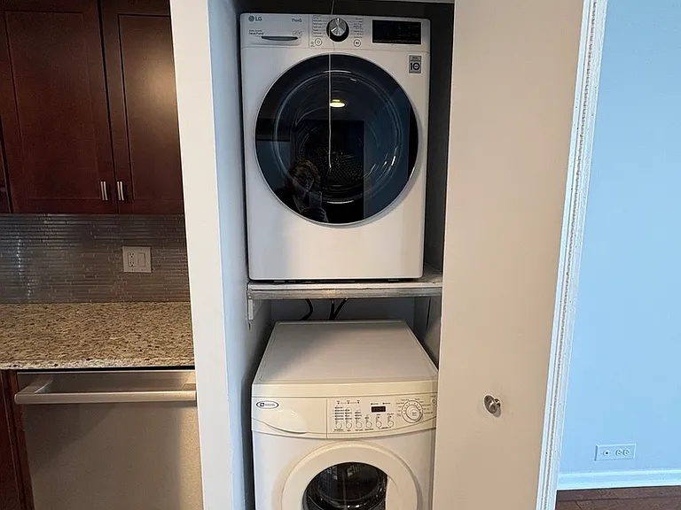 155 N Harbor Dr #2411 — Photo 12