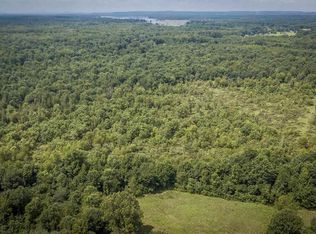 58 Herring Ln, Conway, AR 72032