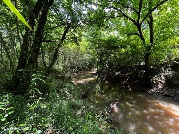 Fleming Rd, Pelahatchie, MS 39145