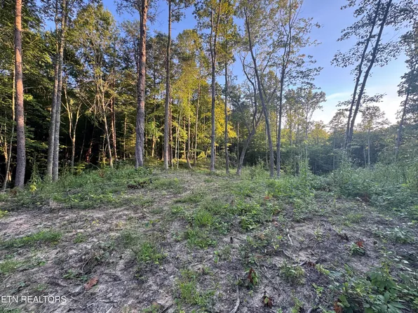 150 Timber Oaks Ln, Pioneer, TN 37847
