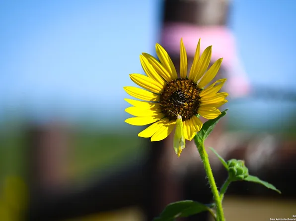 LOT 24 County Road 2500 LOT 24, Bigfoot, TX 78005