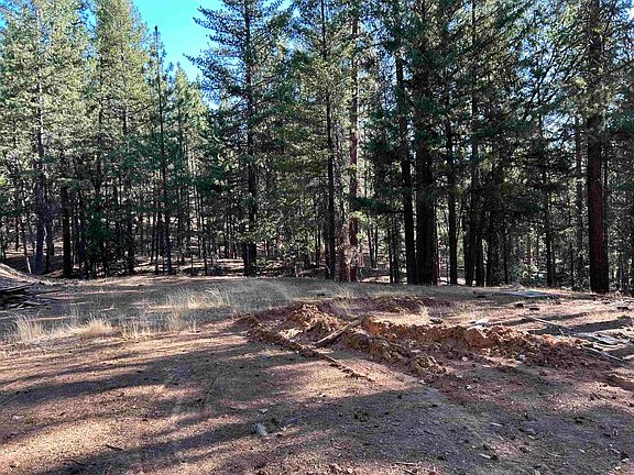 5th image of 13417 Patterson Creek Rd