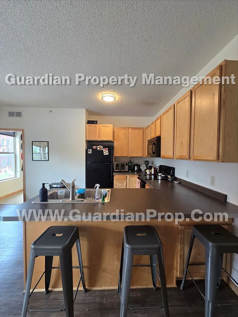 Marcy Holmes/Dinkytown 2 bd, 2 Ba, Dishwasher, 1 Parking Space, 1 Month Free — Photo 3