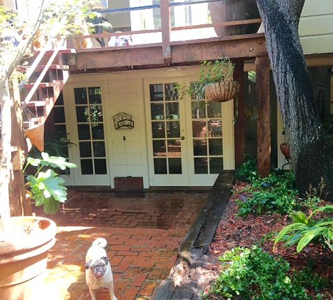 Back garden patio 