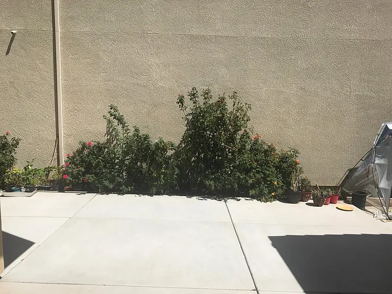 1053 S Burns Pl — Photo 22