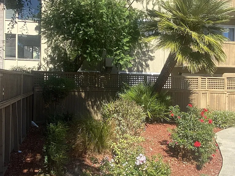 959 Torrano Ave — Photo 4