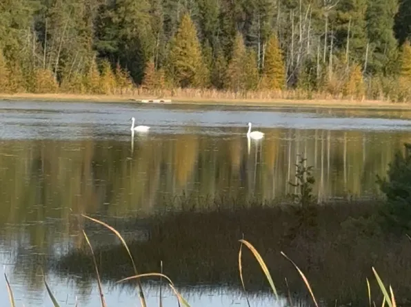 580223 Side Road 60, Chatsworth, ON N0H 1C0