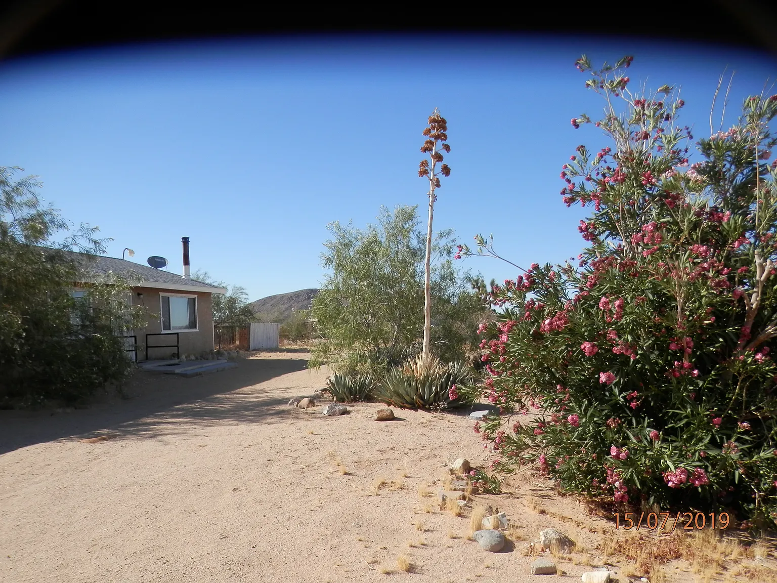3 bed, 1200 sqft, $2,600 — Photo 1