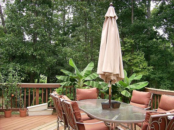 Large back deck overlooking private, wooded yard