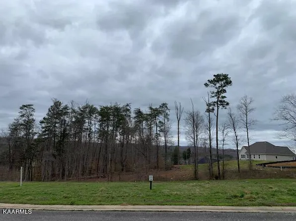 110 Willow Oak Dr, Oak Ridge, TN 37830