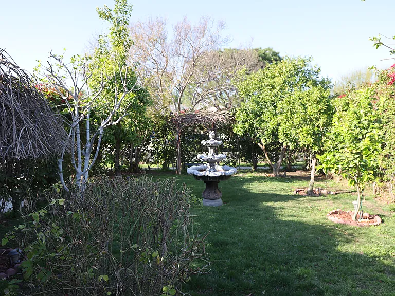 Front yard
