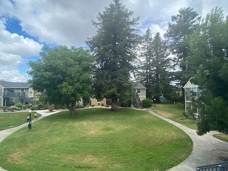 Pioneer Apartments — Photo 48