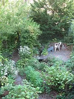 Rented by Douglas Elliman | media 1