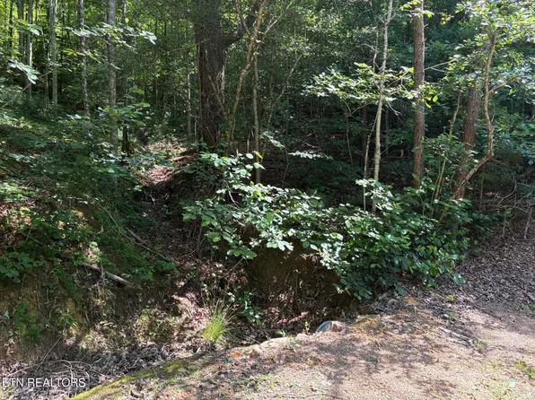 Claude Shields Way, Sevierville, TN 37876